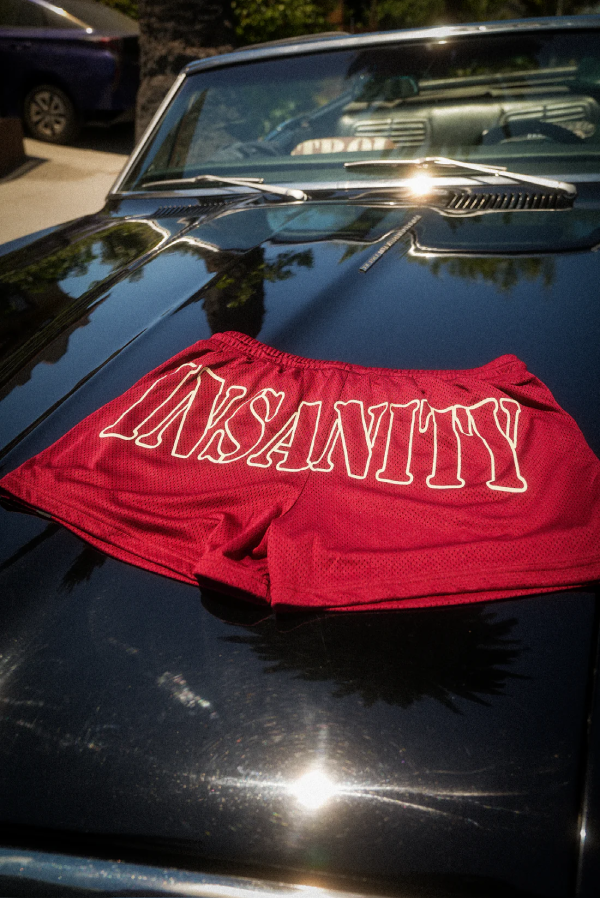 Cherry Red Mesh 3.5 Seam Shorts (1)